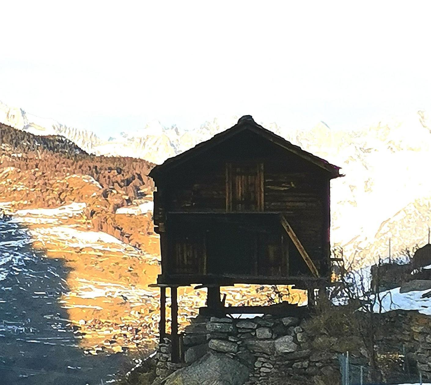 Hotel Alpina 格雷兴 外观 照片