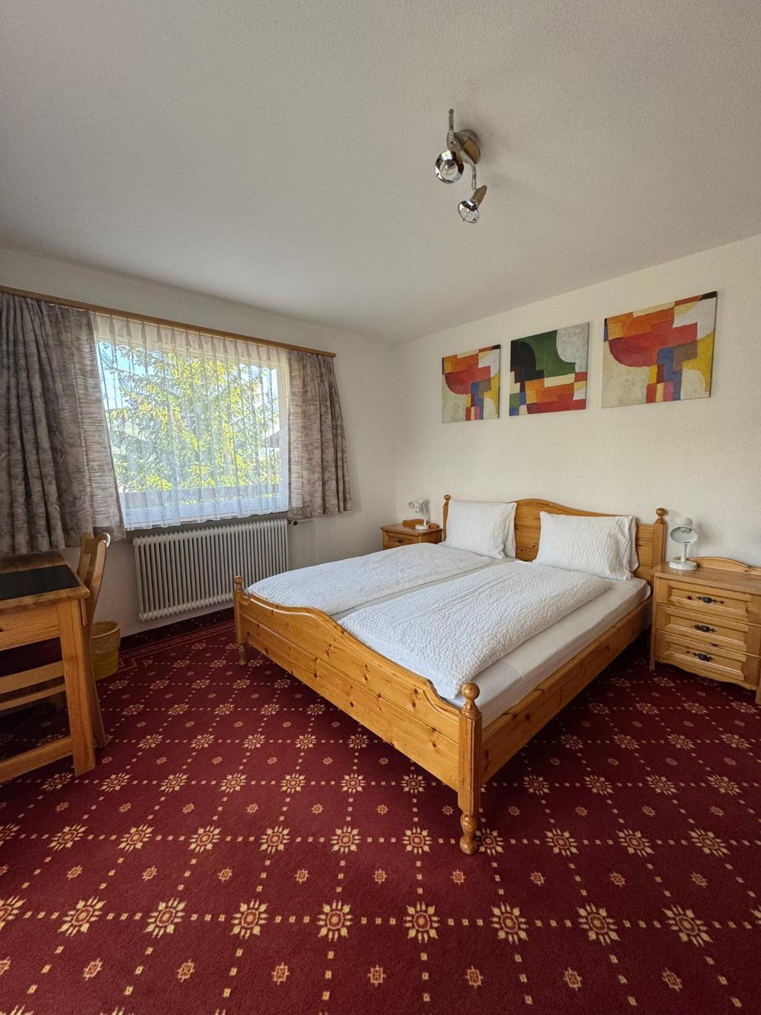 Hotel Alpina 格雷兴 外观 照片
